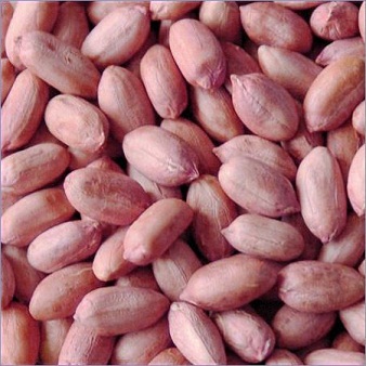 Groundnut Kernel Manufacturer Supplier Wholesale Exporter Importer Buyer Trader Retailer in Kutch Gujarat India